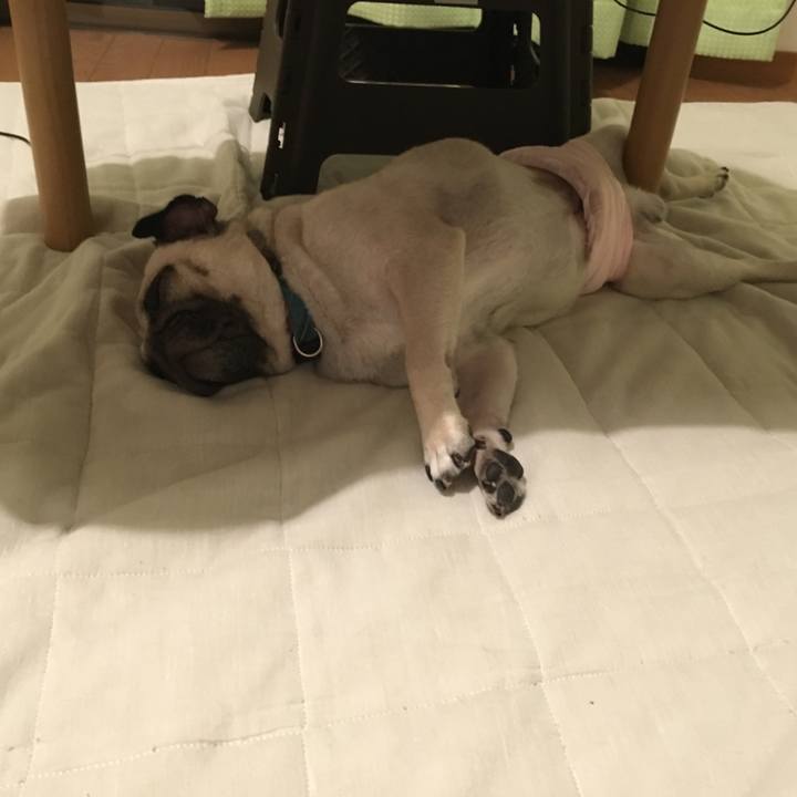 03fbaf6a 167a 42c3 aa7b 942045ef52b8