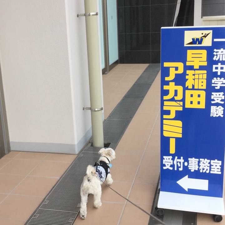 03fbd714 c764 4c27 b842 33cd173176a3