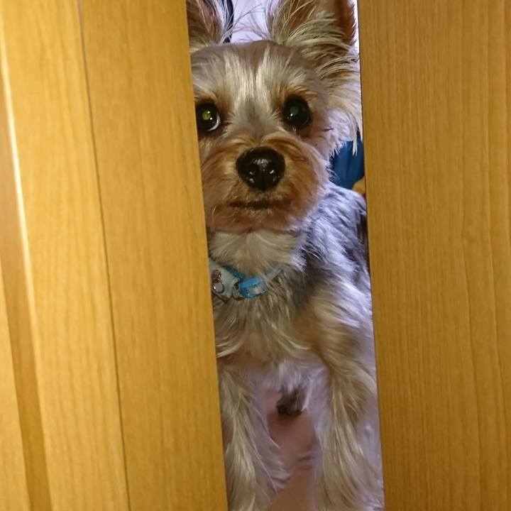 03fc605b d821 4808 9cbe 7f660fd5e73f