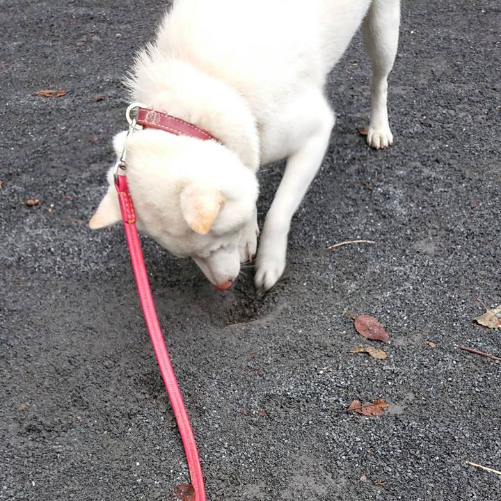 03fc6979 e76d 42cd a3c2 5adc9f8ff655