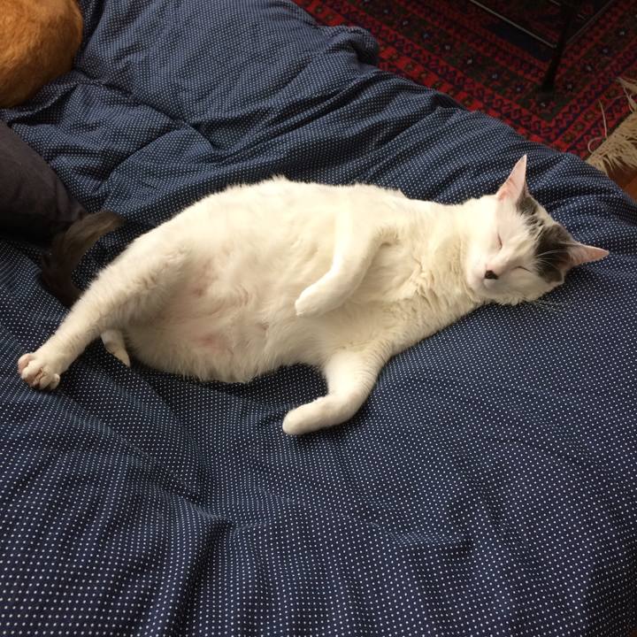 03fc90ff 35b7 4174 9467 d07ca2288efd