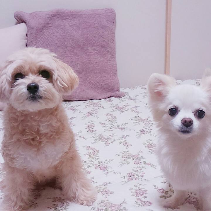 03fc9ceb e8ac 45fc 980b 42f9dce306be