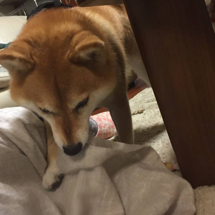 03fce4e3 4b50 4aa7 9f1c 8ded4255c294