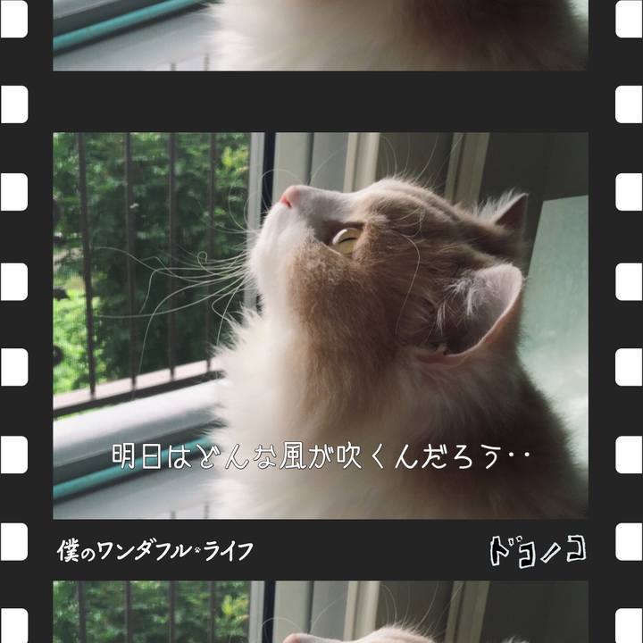 03fd45d3 43a5 4512 9822 198b9d80f6d3