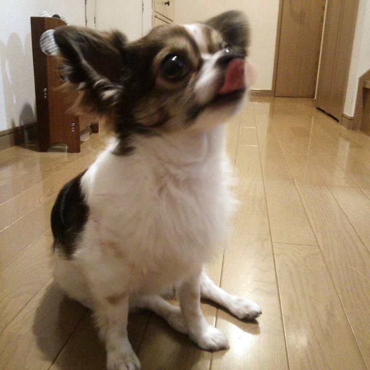 03fd94ed 339b 447e ab00 cde00a28443d