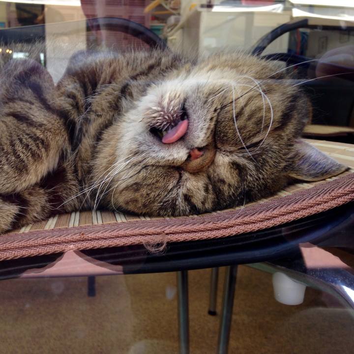 03fe7518 fc35 4351 ab82 8cc6bc2c33ed