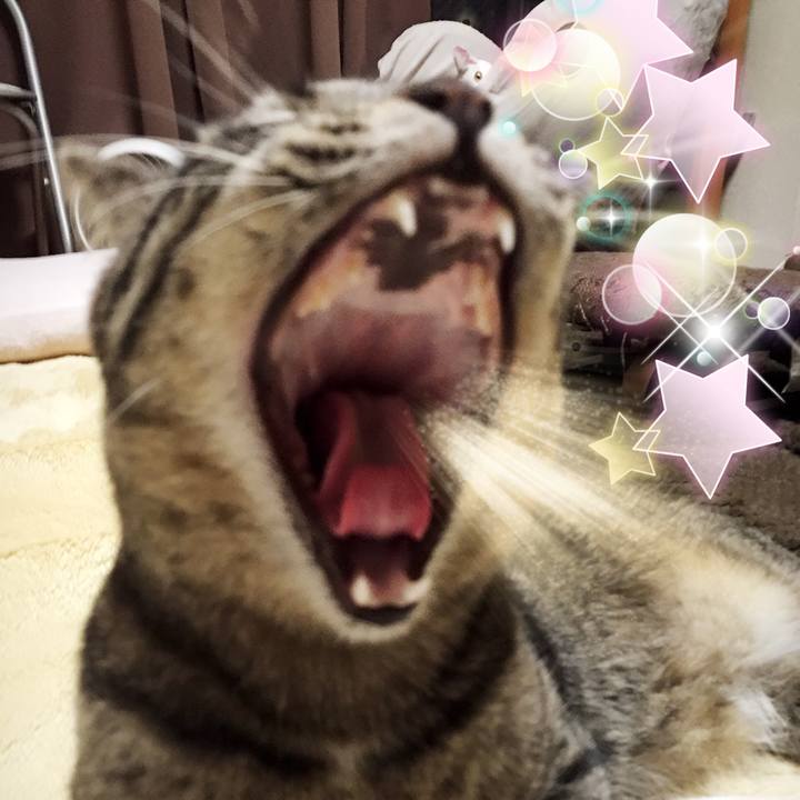 03fe8d7d 686b 4f6f 8a5a 1176c67b2422