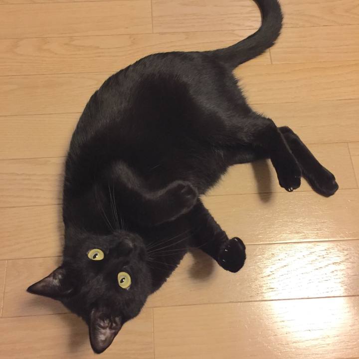 04000542 6991 4bb7 9f28 77f439923c88