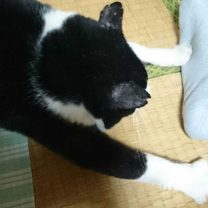 04024840 926f 434b 91f7 3896ff0c0c49