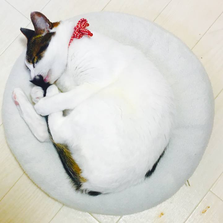 040267ac f7cd 4372 9563 d0cab8fd1ceb