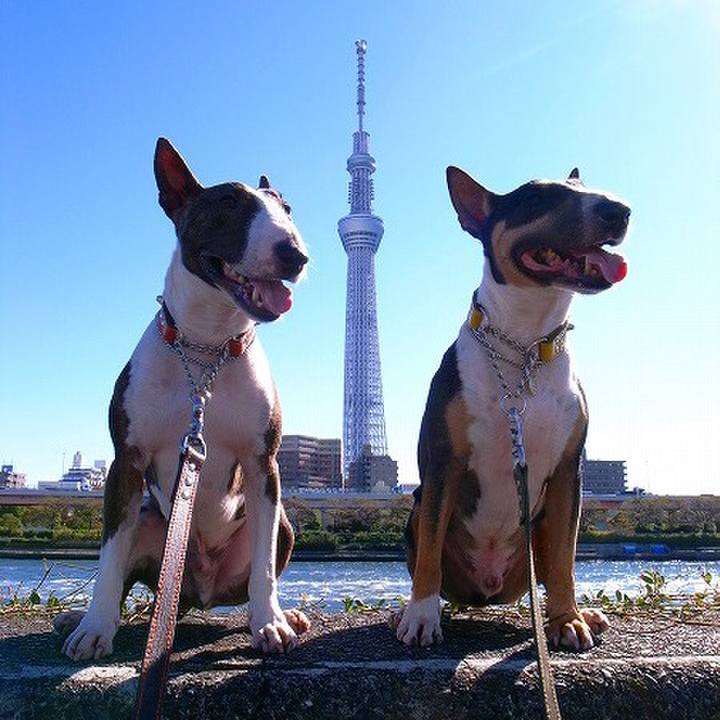 0402e0dc a3df 44ba 913e 44d0d0cfac12