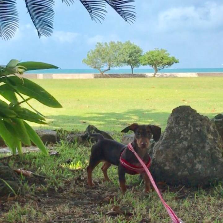 040344d2 21da 4fe8 9fe7 4b96c83639df