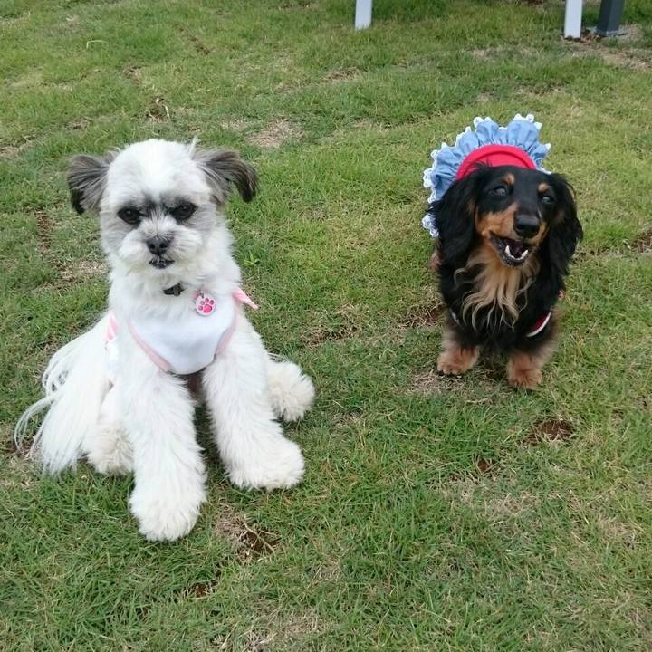 0403497a a77f 4ded 9300 9b57db123a85