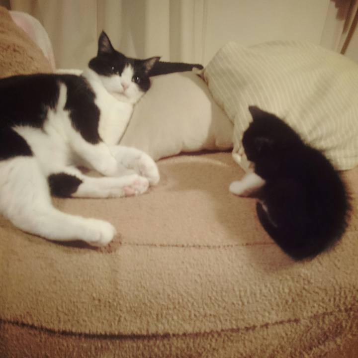 040410f3 a2db 4a4b b9bb f52f83d96d53