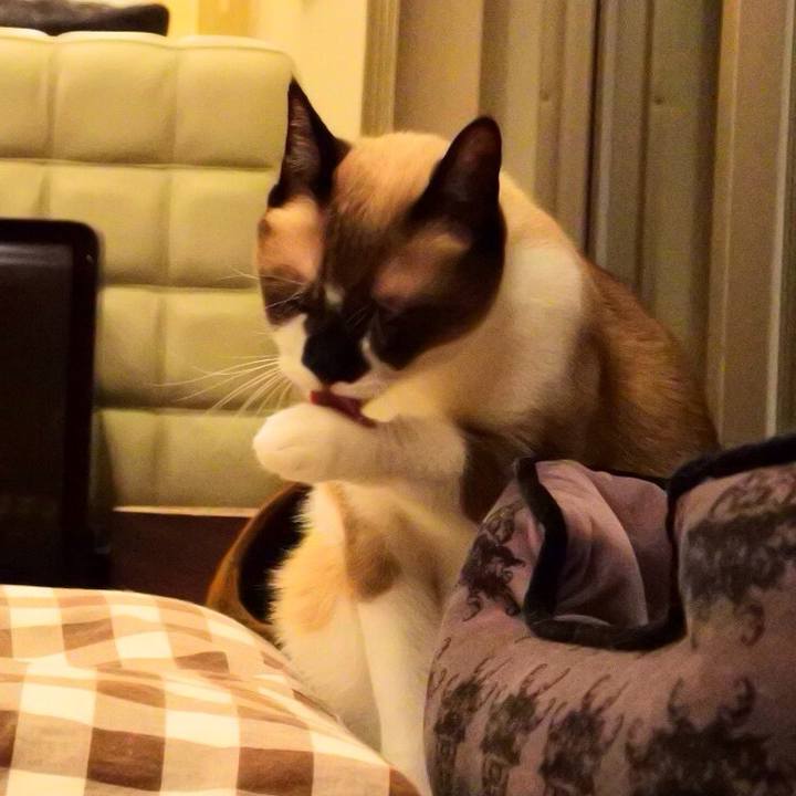 04047a7d d92c 4022 a09d 25b01b00d110