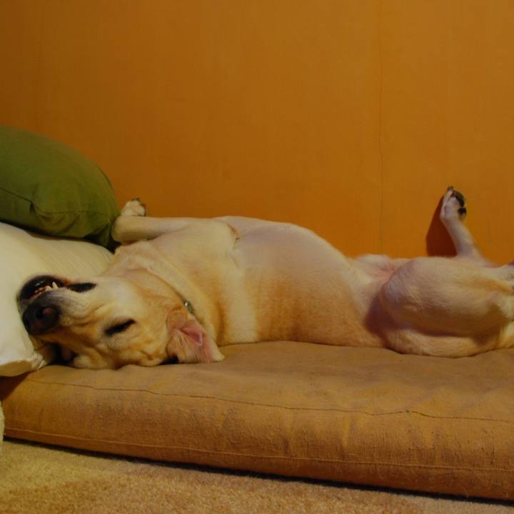 04048264 2fe9 4db1 b100 b489b2671a85