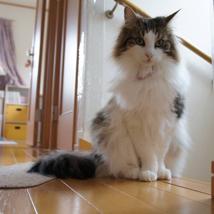 0404f321 682d 4d68 9218 083ea1c493d5