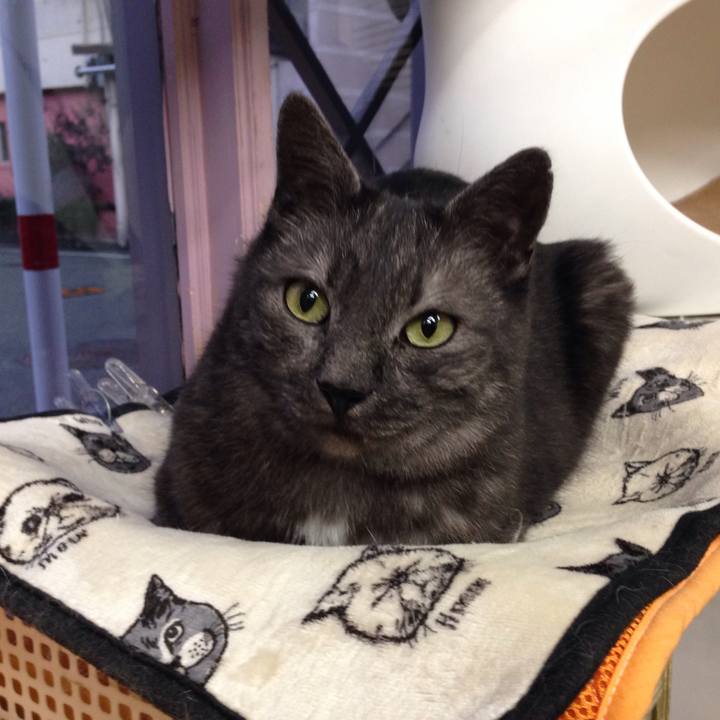 0405038a c10a 4dee 9d24 ce85f1a51f9d