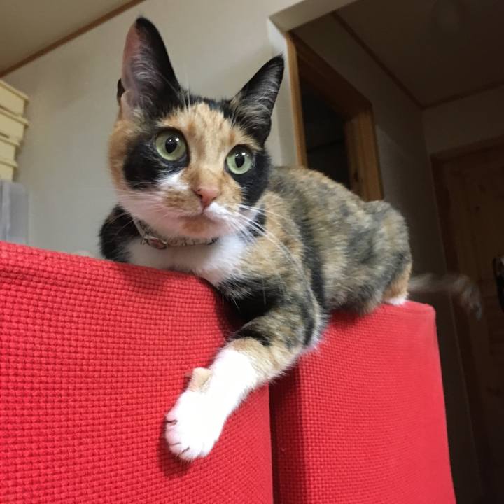 040550d3 198b 4f20 a8ce 3bc9bb4b1b60