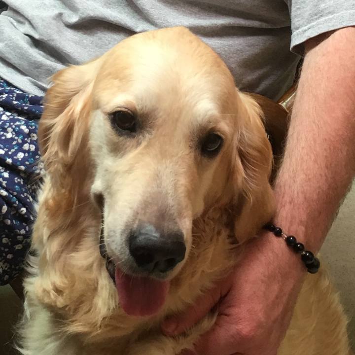 04056c34 1e05 4ecd 9aa9 f8e02c2a80d6