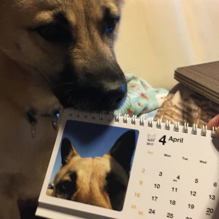 04058f40 54b3 41b8 87ad 5cb59e209e3f