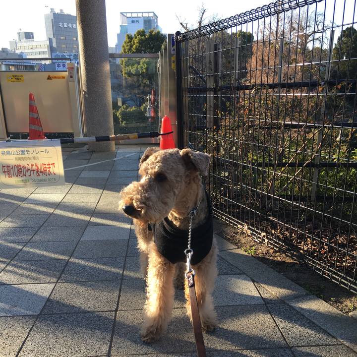 0405add6 75c6 49c2 b82d 6973e8bec34f