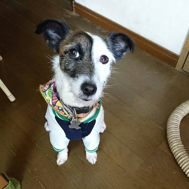 0405c6ba 67ec 4707 bf05 8289177da562