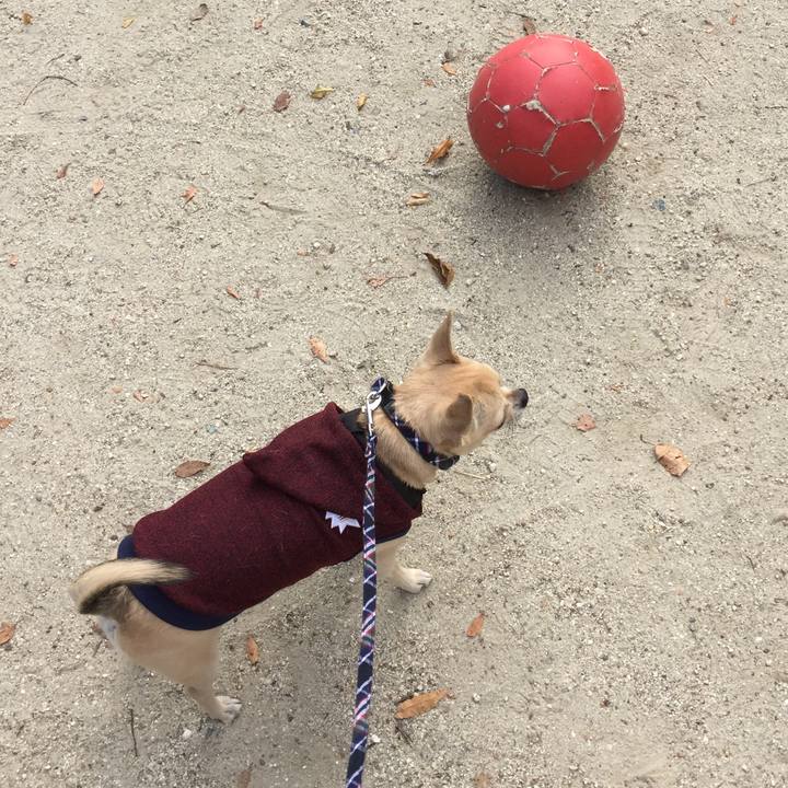 04063a96 43ca 4177 b673 5389866c2afc