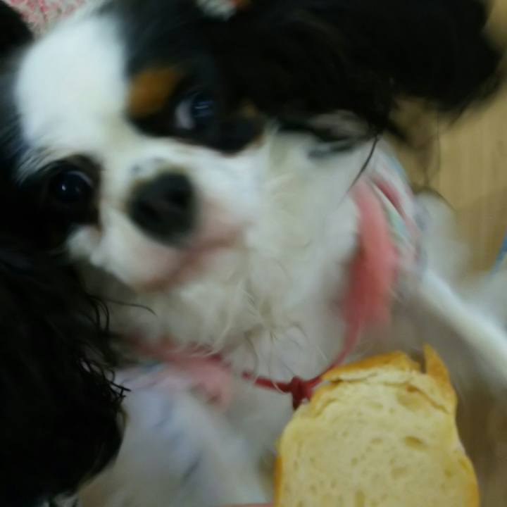 04066273 b1e8 4b63 a5d9 2f201084fc5a