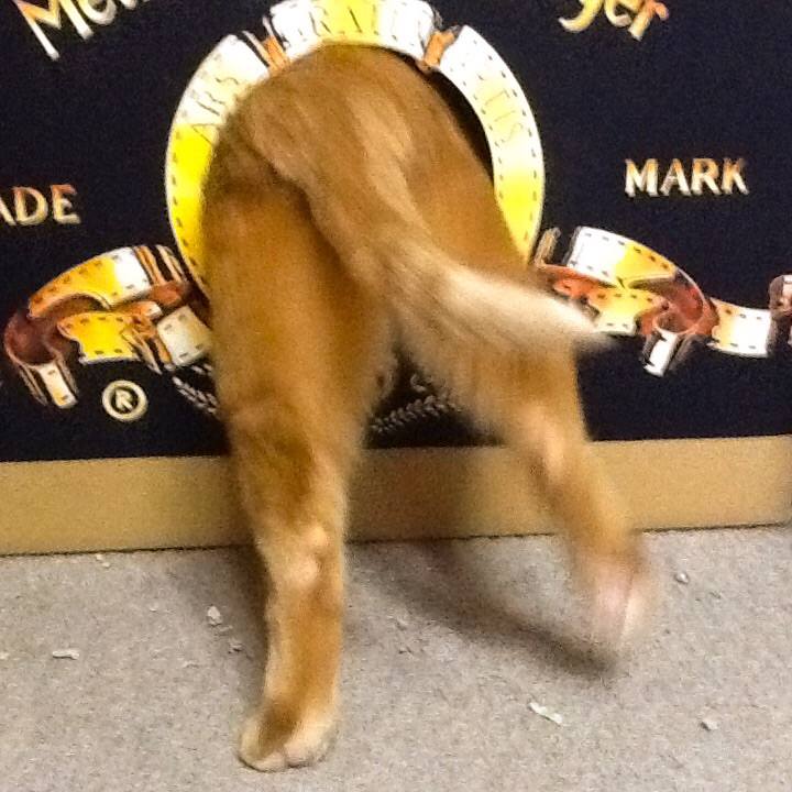 0407ce30 38c3 46d1 83e7 aa2993b2e028