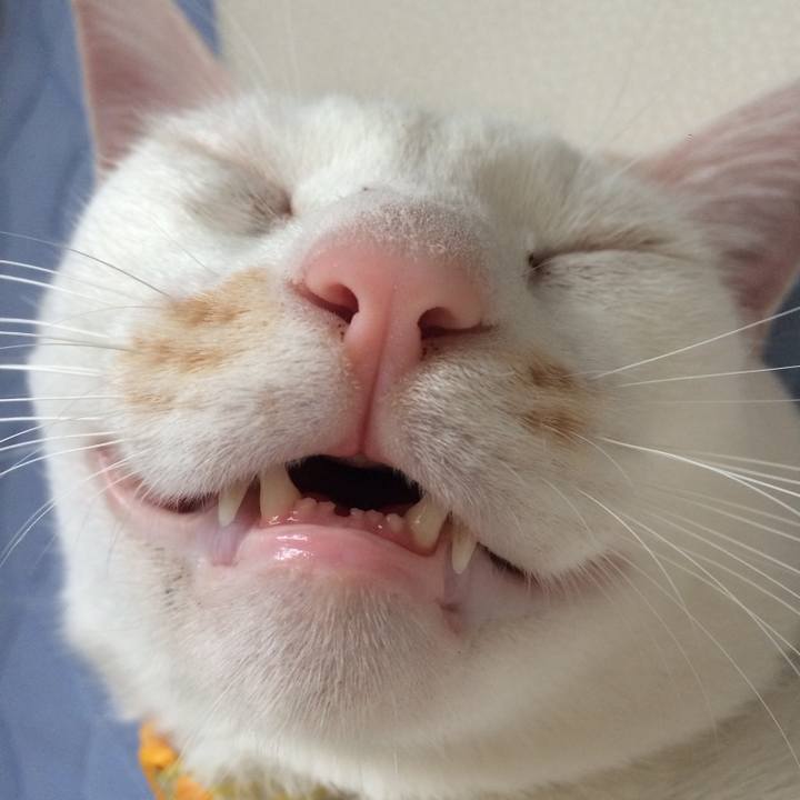 04080e53 a57e 4c10 97b0 15e8d4fb7925