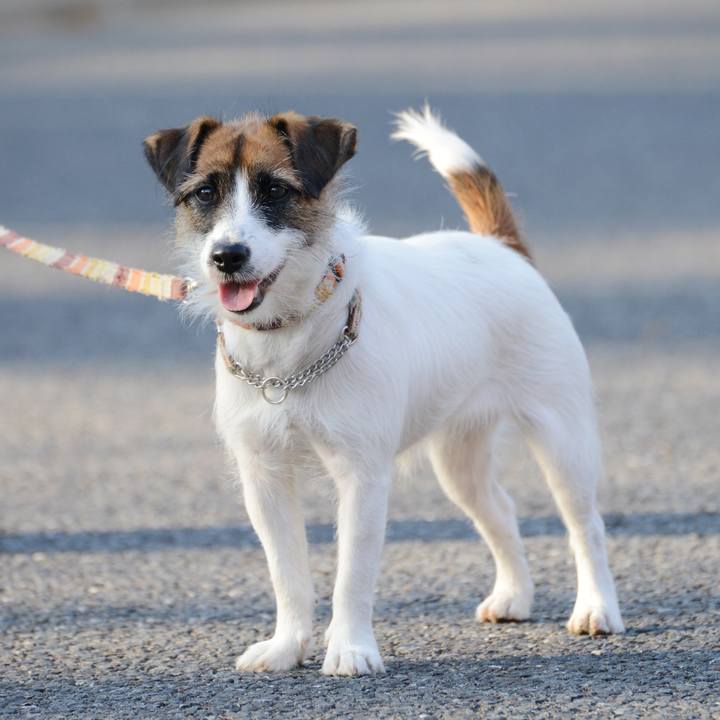 0408332d 95af 4f49 964b 25b221f78955