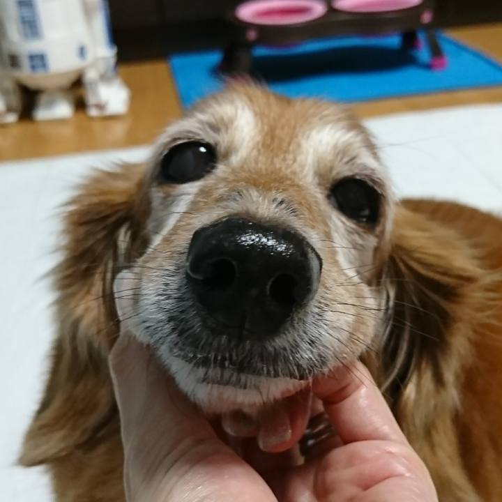 0408423b e878 4901 bcc0 5f95d28ddd1d