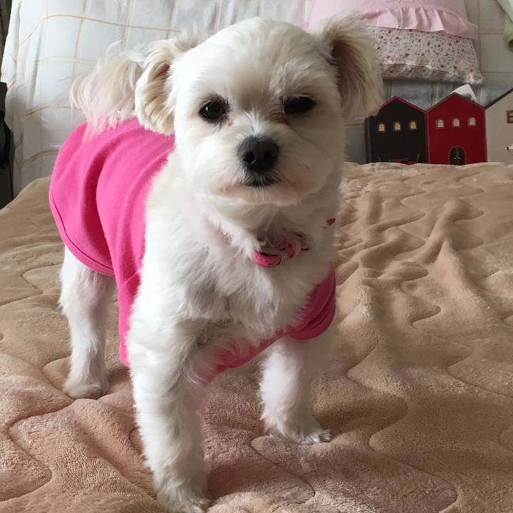 040846a5 d12d 4676 982b 1492dc411d7a