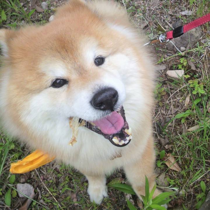 0408abb2 950e 4fd7 8be8 4ddccb403e25