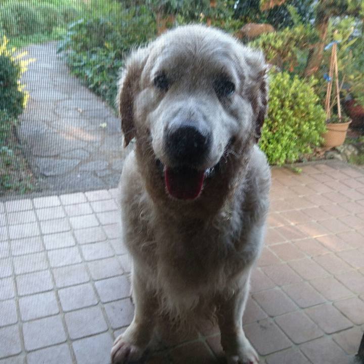 0408c1dd af69 42cf 989e 604a6de3d29a