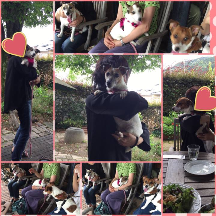 0408ce0c 0e64 47b2 9726 45729b0721ec