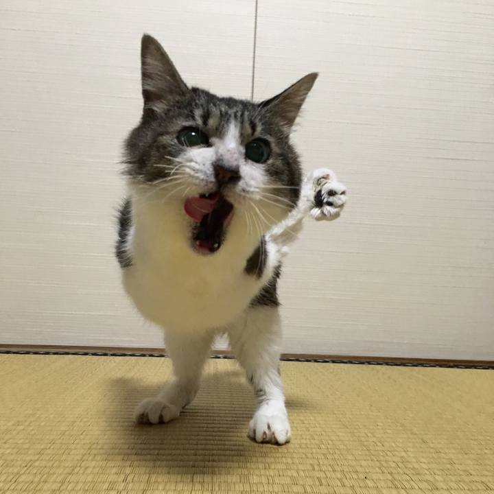 04091e7e af83 462f 818e 0a8f755a6efd