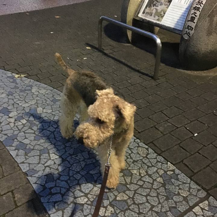 04092c18 7c6d 470b ae4f b99d897abfb2