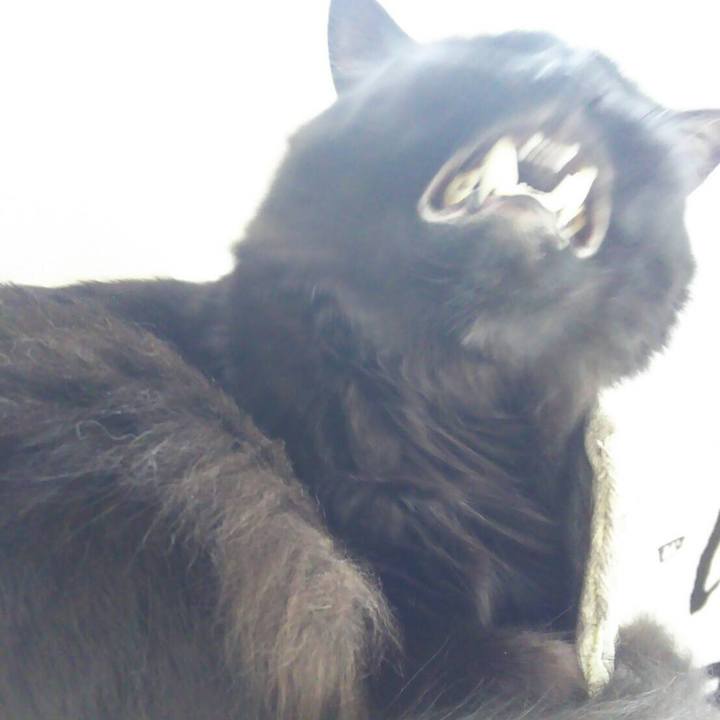 04095113 3737 4d25 a786 7b2653dd3c49