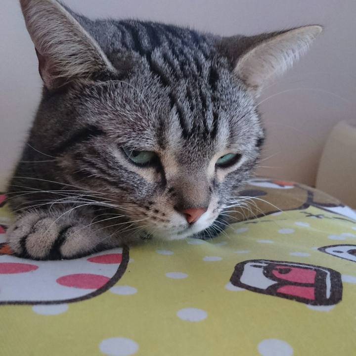 04099275 fb42 4074 932a fe186de5b709