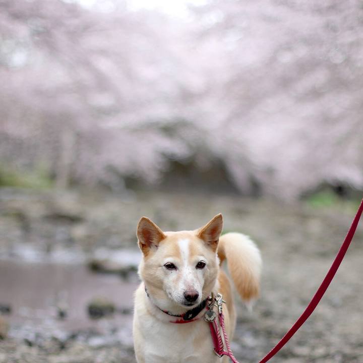 040a20ac 3890 4b94 bf91 8ba388d16a49