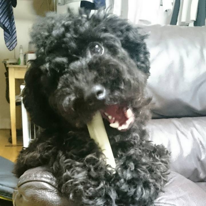 040a4da6 4d07 418c 9e4c b046939ebdc2