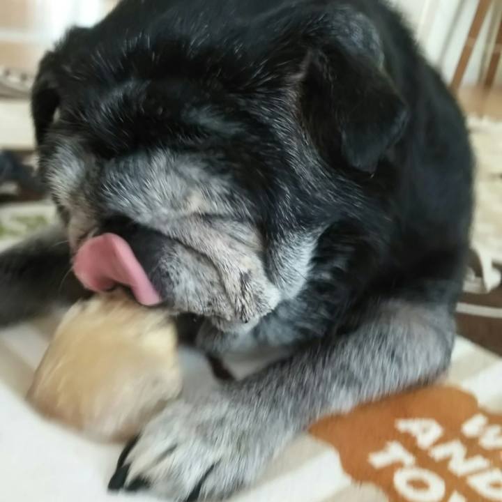 040aedba 3f23 49d5 925c 5e25fb17870d