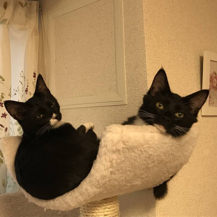 040b5b7e dd13 4bd9 a0ea 1088b92005d6