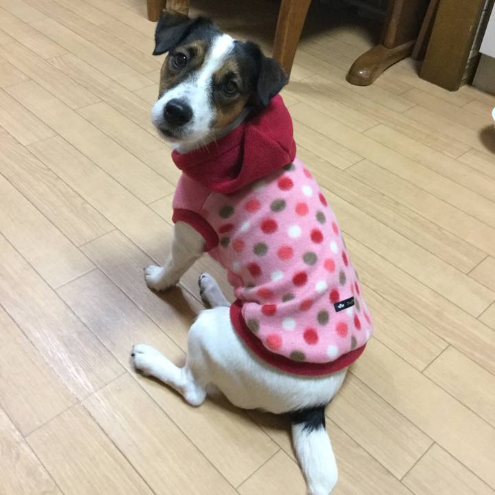 040c0a15 216b 4824 b2b8 c72a4ee72cf3