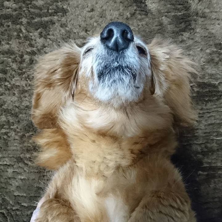 040c1cc4 ca4e 47e8 96f1 bc3969e600a7