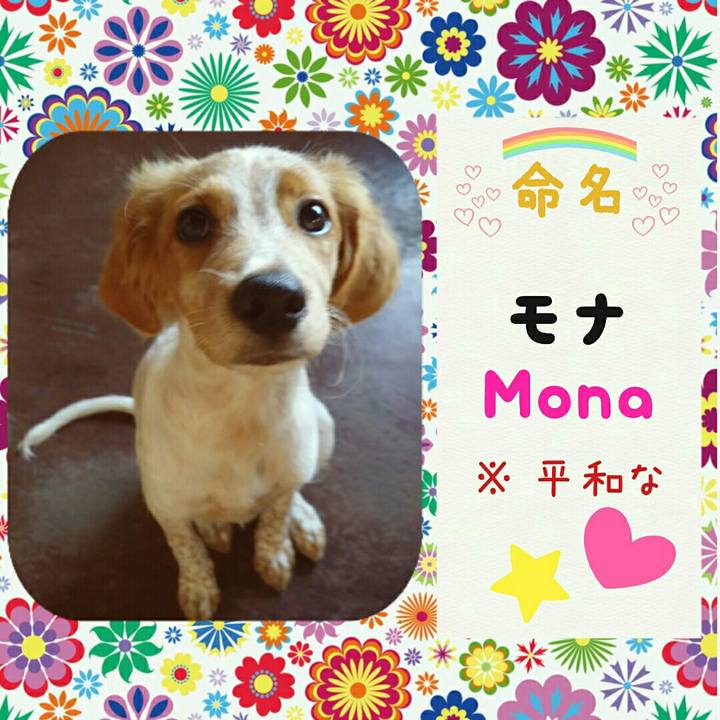 040c32e2 0f9c 4c19 bbaf aa23986f145e