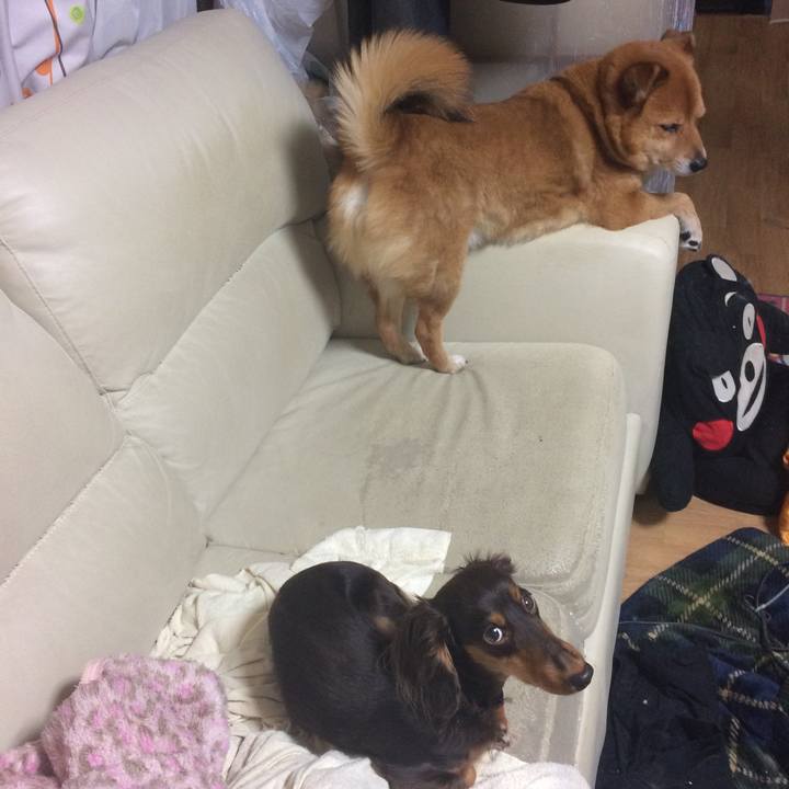 040c495e 1a5c 44df b023 59b166ec3bed