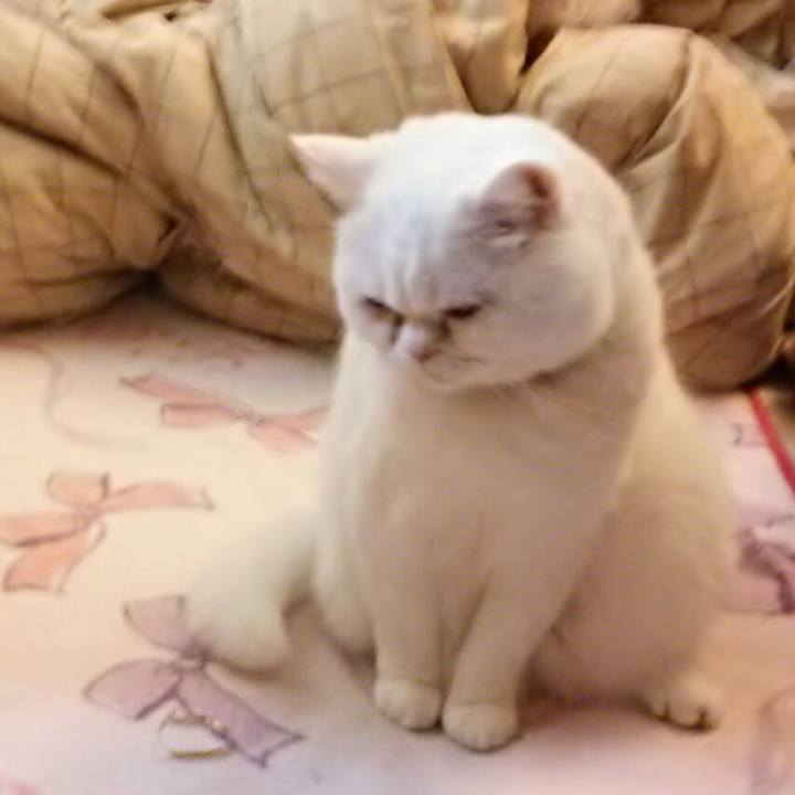 040dad85 67ac 4b83 ac30 8db650d1a2a3